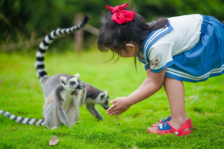 宁波野生动物园