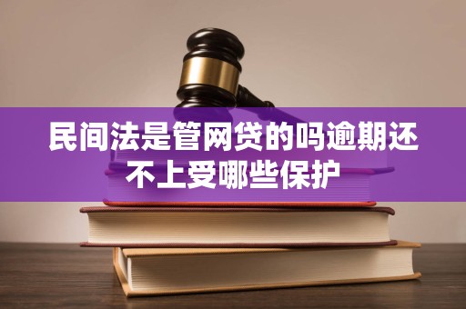 民间法是管网贷的吗逾期还不上受哪些保护