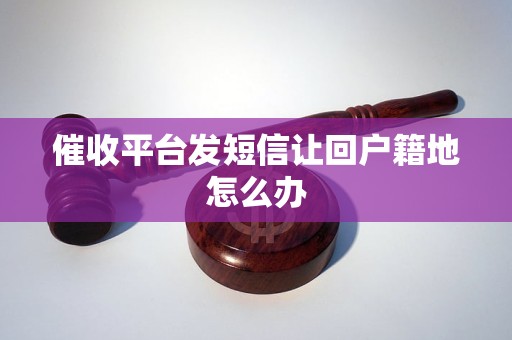 催收平台发短信让回户籍地怎么办