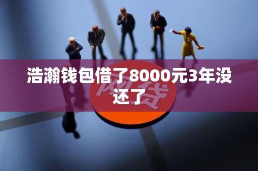 浩瀚钱包借了8000元3年没还了