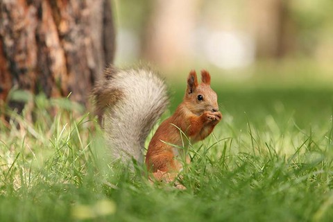 我国制定了哪些环境的法律