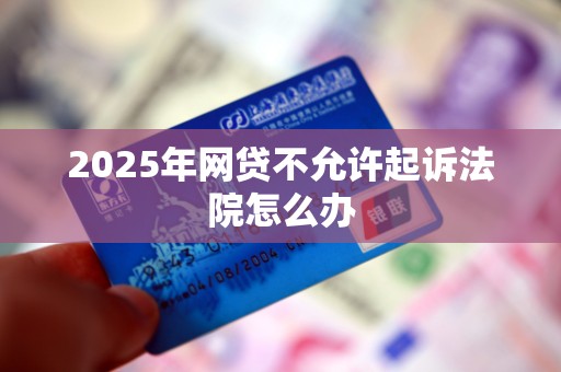 2025年网贷不允许起诉法院怎么办