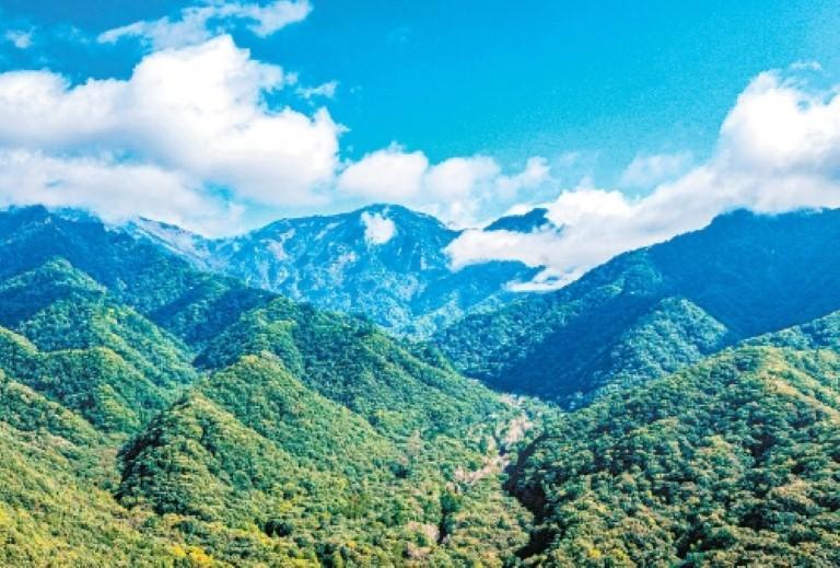 巍巍秦岭满目葱茏。(记者 王健 实习生 付子涵 摄)