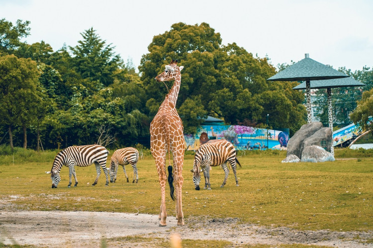 宁波野生动物园