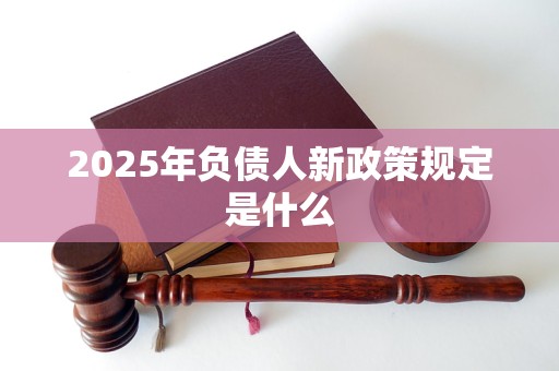 2025年负债人新政策规定是什么