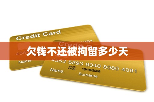 欠钱不还被拘留多少天