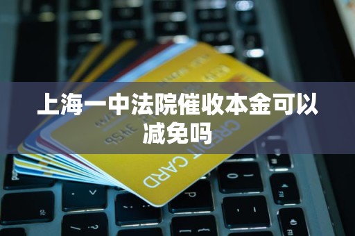 上海一中法院催收本金可以减免吗