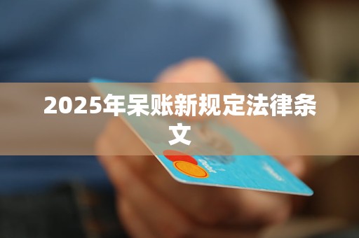 2025年呆账新规定法律条文