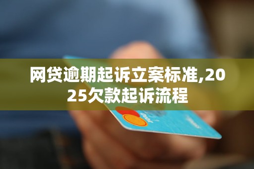 网贷逾期起诉立案标准,2025欠款起诉流程