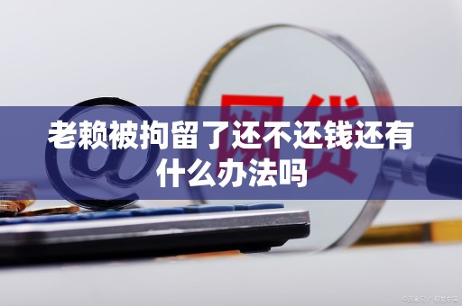 老赖被拘留了还不还钱还有什么办法吗