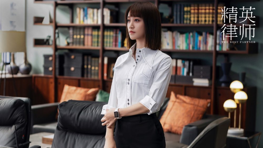 精英律师 靳东 蓝盈莹