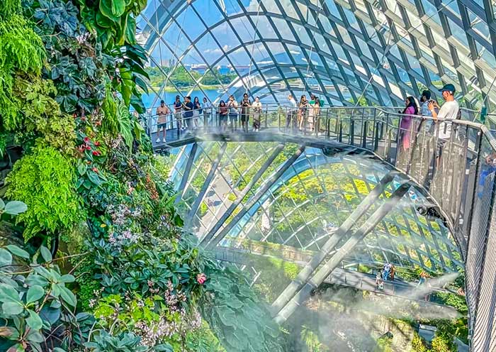 滨海湾花园云雾林