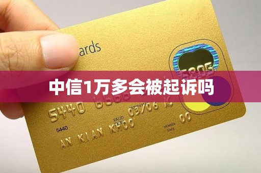 中信1万多会被起诉吗