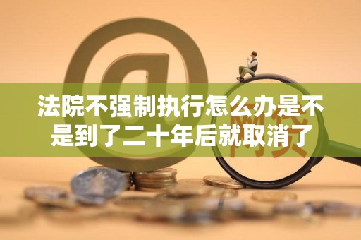 法院不强制执行怎么办是不是到了二十年后就取消了
