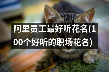 h3/p阿里员工最好听花名(100个好听的职场花名)