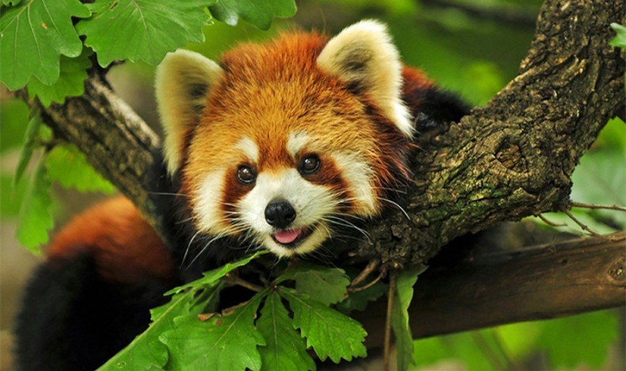 宁波野生动物园