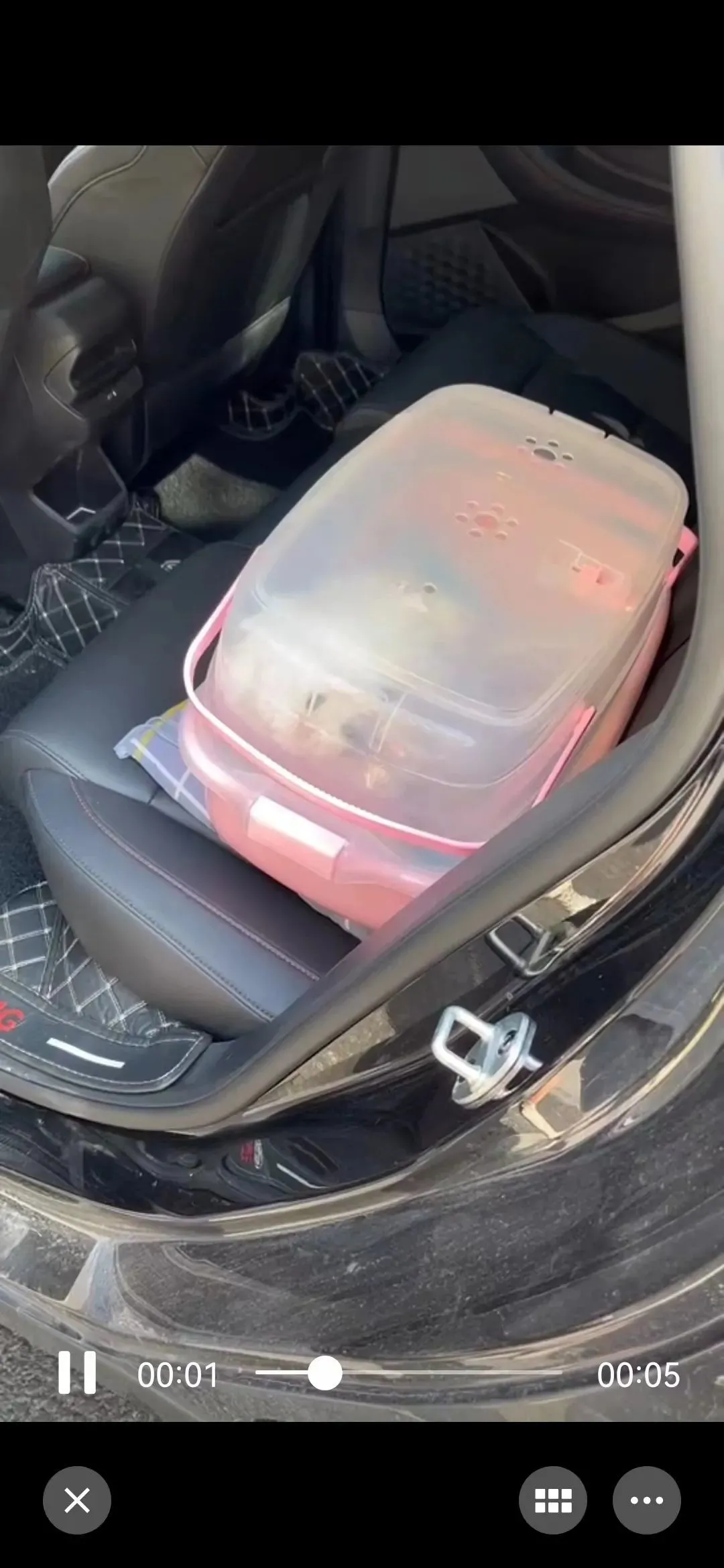 宠物狗搭上顺风车前（丁女士提供）