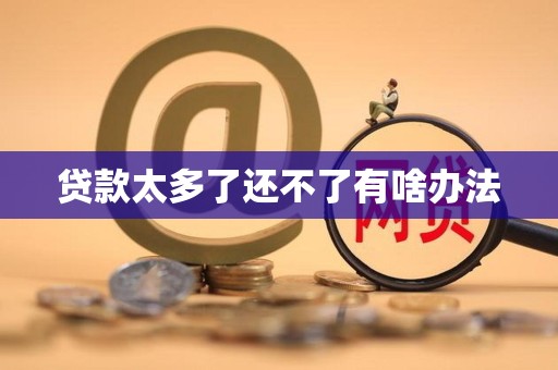 贷款太多了还不了有啥办法