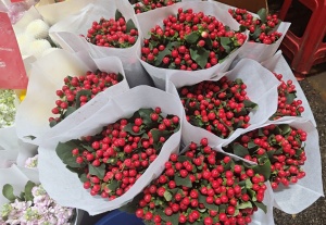 浓浓的秋日气息,果实鲜切枝成秋日花市“新宠”