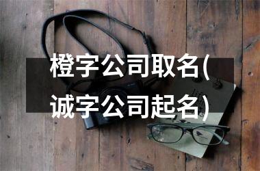 h3/p橙字公司取名(诚字公司起名)