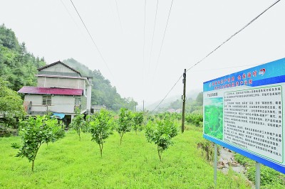 知识产权事业:加强全面保护工作 激发创新活力