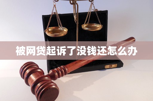 被网贷起诉了没钱还怎么办