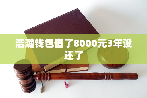 浩瀚钱包借了8000元3年没还了