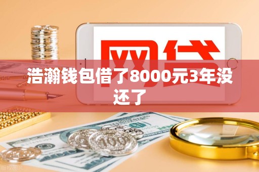 浩瀚钱包借了8000元3年没还了