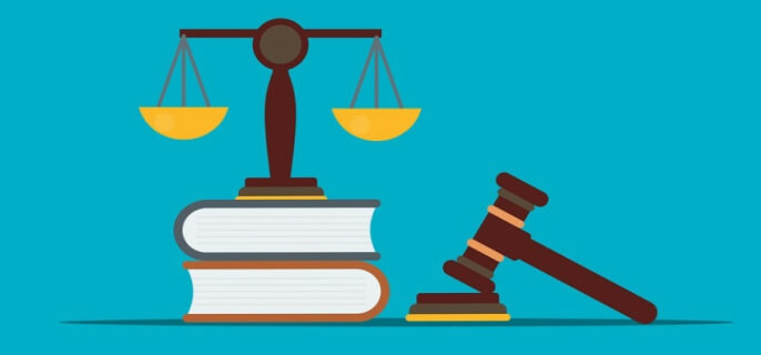 猴子可以当宠物养吗