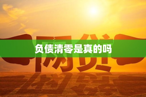 负债清零是真的吗