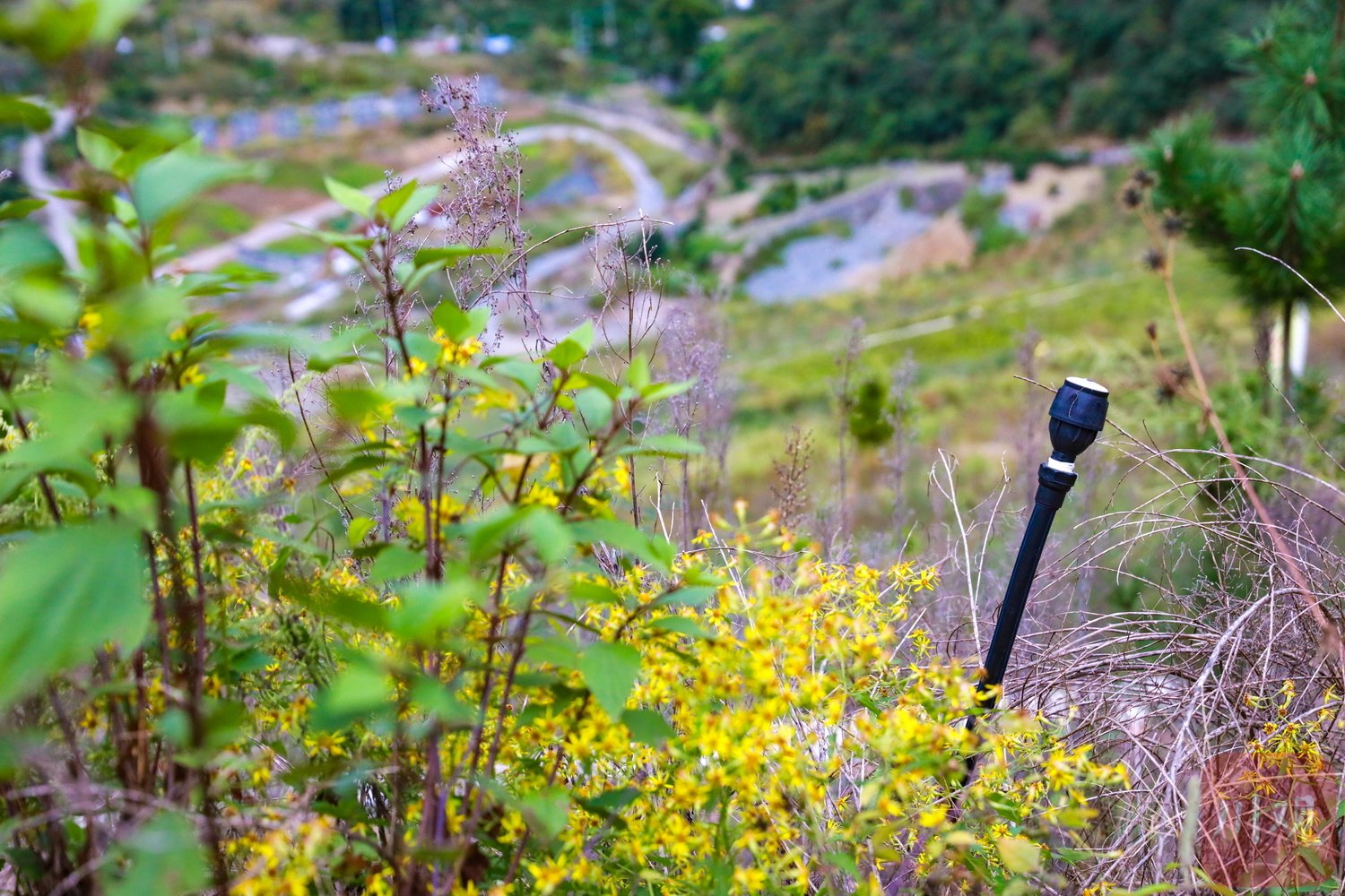 石棉矿山修复项目上的浇水系统。