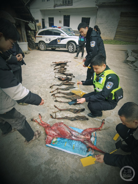 重庆警方查获一起危害珍贵、濒危野生动物案 嫌疑人称以为熏制成腊肉就不会被发现