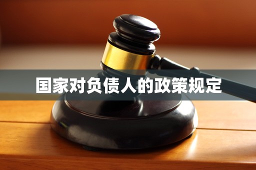国家对负债人的政策规定