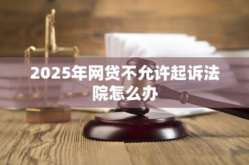 2025年网贷不允许起诉法院怎么办