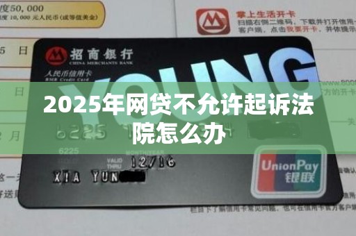 2025年网贷不允许起诉法院怎么办
