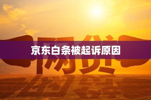 京东白条被起诉原因