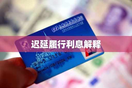 迟延履行利息解释