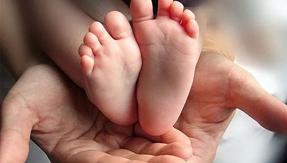 你好!代表(视频)