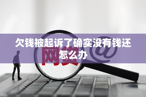 欠钱被起诉了确实没有钱还怎么办