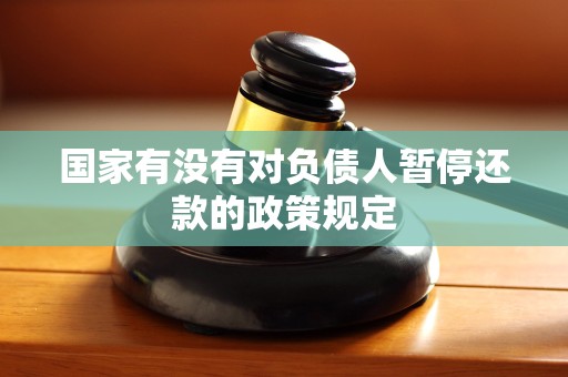 国家有没有对负债人暂停还款的政策规定