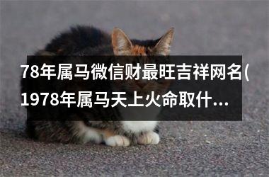 h3/p78年属马微信财最旺吉祥网名(1978年属马天上火命取什么名字)