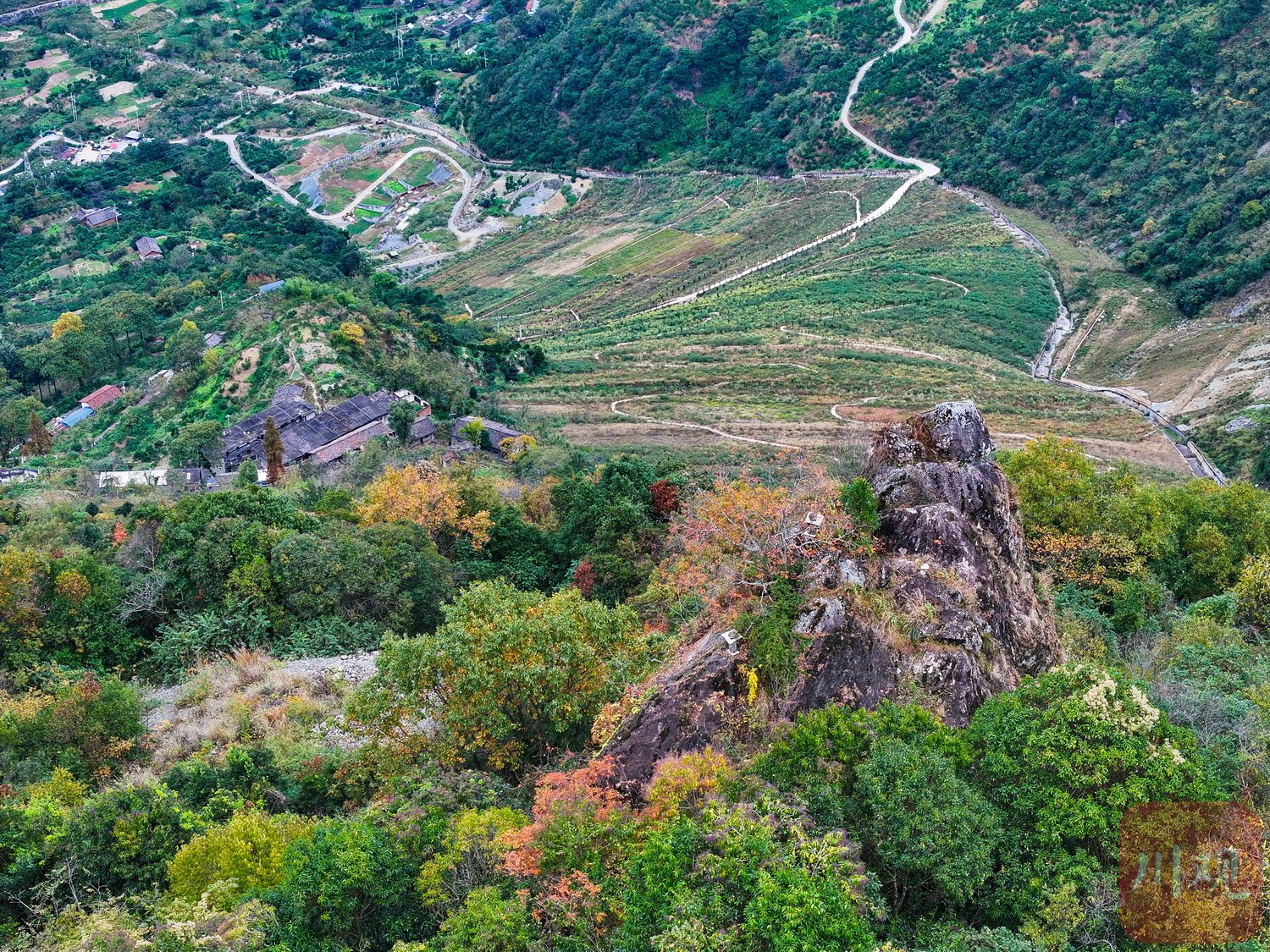 如今已经满目葱茏的尾矿地区。