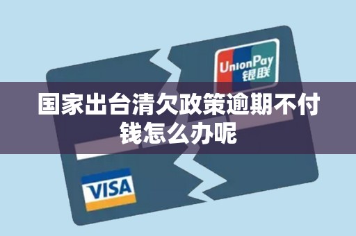 国家出台清欠政策逾期不付钱怎么办呢