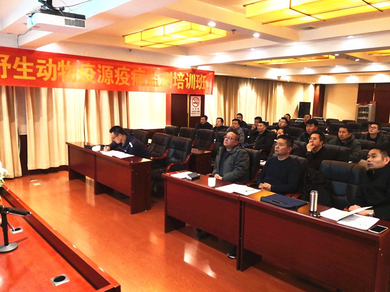 疫源疫病培训 (1)_副本