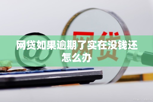 网贷如果逾期了实在没钱还怎么办