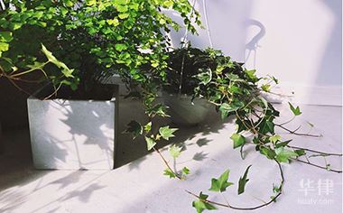 走私算是刑事犯罪吗