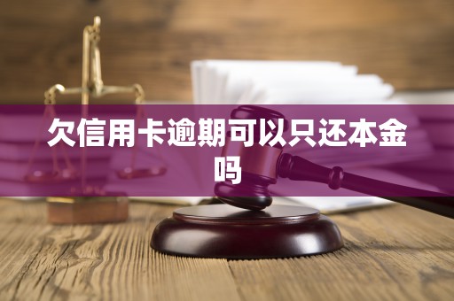 欠信用卡逾期可以只还本金吗