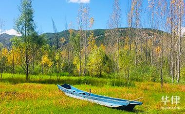 汽车被撞保险怎么赔