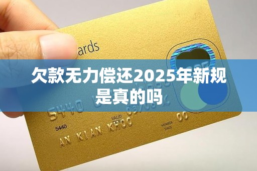 欠款无力偿还2025年新规是真的吗