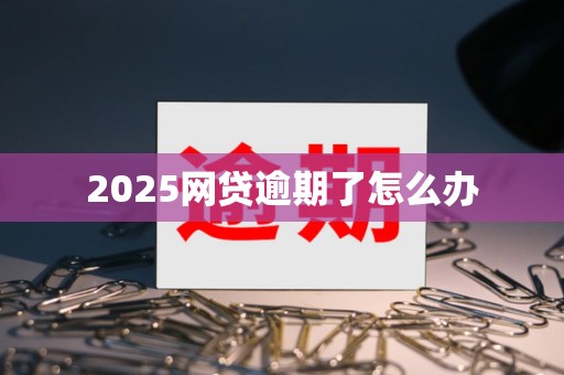 2025网贷逾期了怎么办